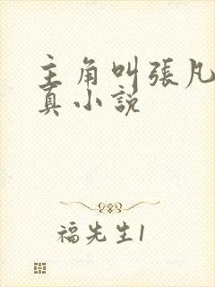 主角叫张凡的修真小说