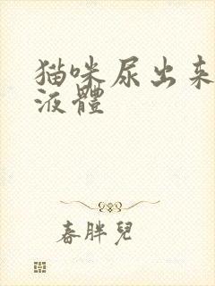 猫咪尿出来粘稠液体