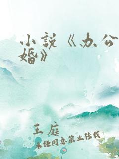 小说《办公室隐婚》