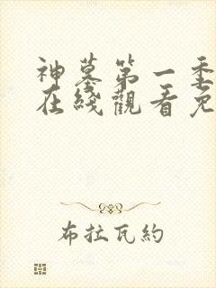 神墓第一季动漫在线观看免费高清完整版