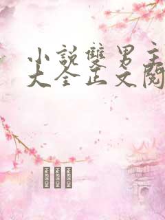 小说双男主免费大全正文阅读同人文