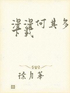 漫漫何其多小说下载