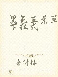 黑色五叶草漫画下拉式