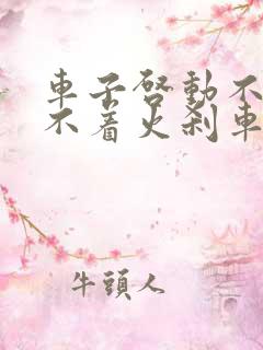 车子启动不了打不着火刹车踩不下去