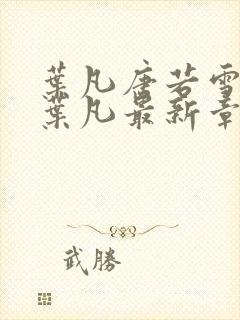 叶凡唐若雪王婿叶凡最新章节