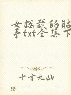 女总裁的贴身高手txt全集下载