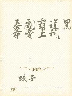 泰剧霸道黑帮少爷爱上我