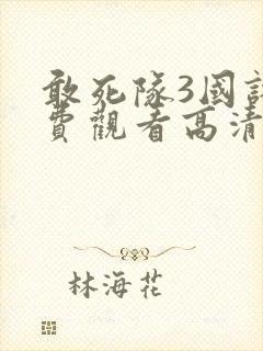 敢死队3国语免费观看高清完整版