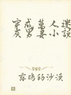 穿成万人迷的炮灰男妻小说