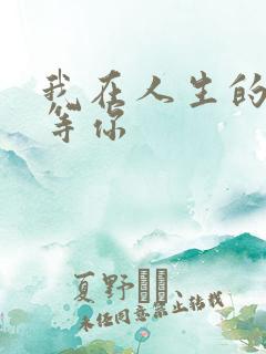 我在人生的尽头等你