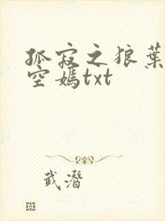 孤寂之狼叶凡司空嫣txt