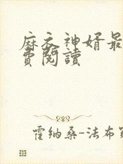 麻衣神婿最新免费阅读