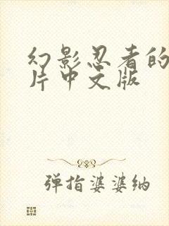 幻影忍者的动画片中文版