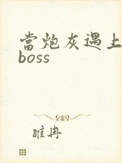 当炮灰遇上反派boss