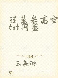 从万米高空降临txt网盘