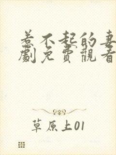 惹不起的妻子短剧免费观看