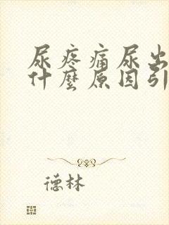 尿疼痛尿出血是什么原因引起的