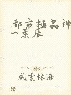 都市极品神医~~叶辰