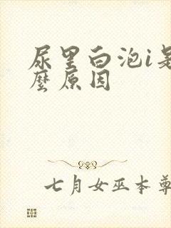 尿里白泡i是什么原因