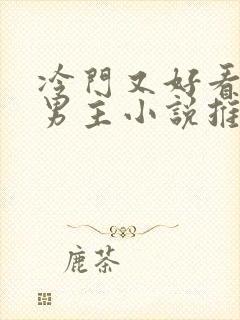 冷门又好看的双男主小说推荐