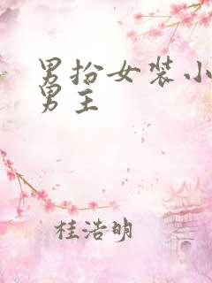 男扮女装小说双男主