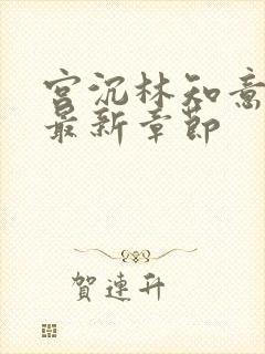 宫沉林知意小说最新章节