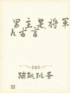 男主是将军的高h古言