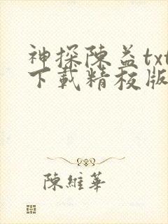 神探陈益txt下载精校版