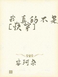 我真的不是渣攻[快穿]