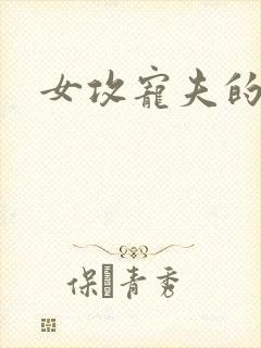 女攻宠夫的小说