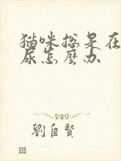 猫咪总是在床上尿怎么办