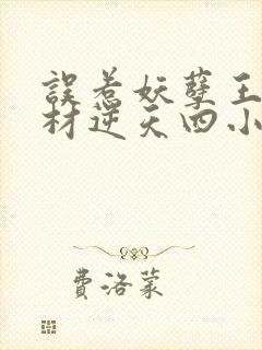 误惹妖孽王爷废材逆天四小姐