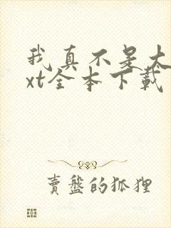 我真不是大佬txt全本下载