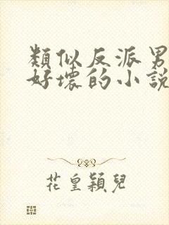 类似反派男主你好坏的小说