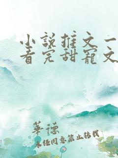 小说推文一口气看完甜宠文