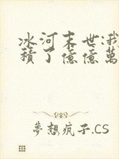 冰河末世:我囤积了亿亿万物资全集