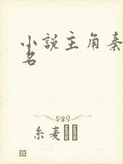 小说主角秦天书名