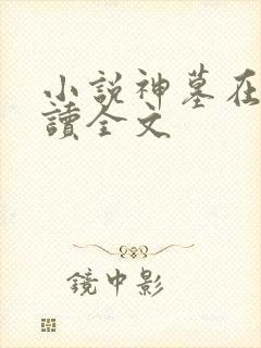 小说神墓在线阅读全文