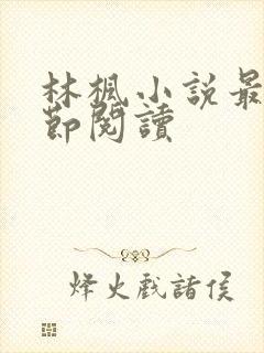 林枫小说最新章节阅读