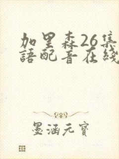 加里森26集国语配音在线观看免费