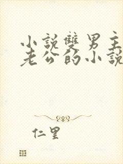 小说双男主虐文老公的小说推荐完结