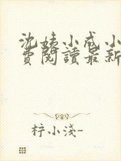 沈姨小成小说免费阅读最新章节更新