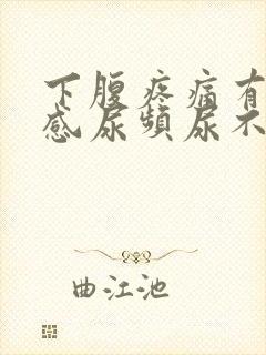 下腹疼痛有坠胀感尿频尿不尽