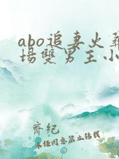 abo追妻火葬场双男主小说