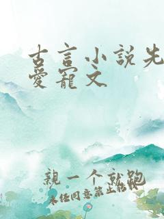 古言小说先婚后爱宠文