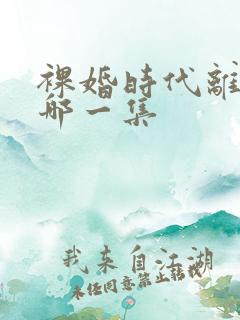 裸婚时代离婚是哪一集