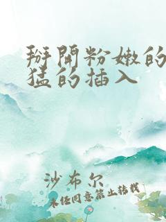 掰开粉嫩的小逼猛的插入