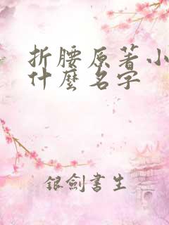 折腰原著小说叫什么名字