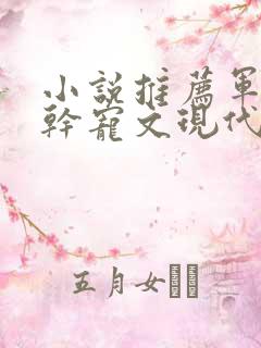 小说推荐军婚高干宠文现代