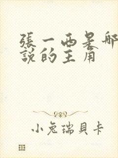 张一西是哪部小说的主角